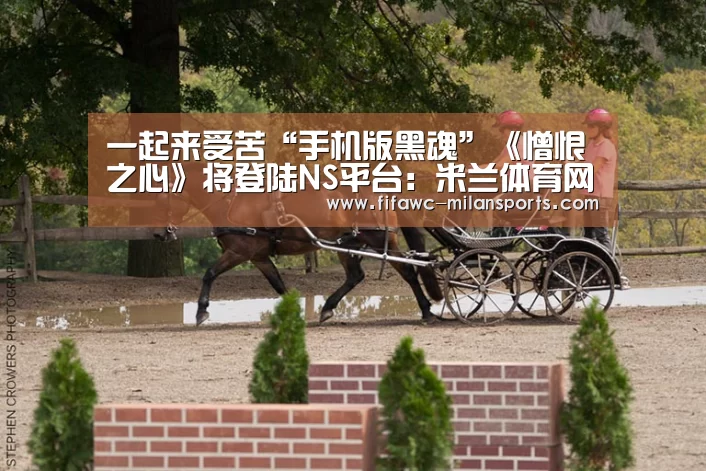 一起来受苦“手机版黑魂”《憎恨之心》将登陆NS平台：米兰体育网页版