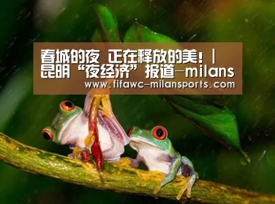 春城的夜 正在释放的美！| 昆明“夜经济”报道-milansport.com(图3)